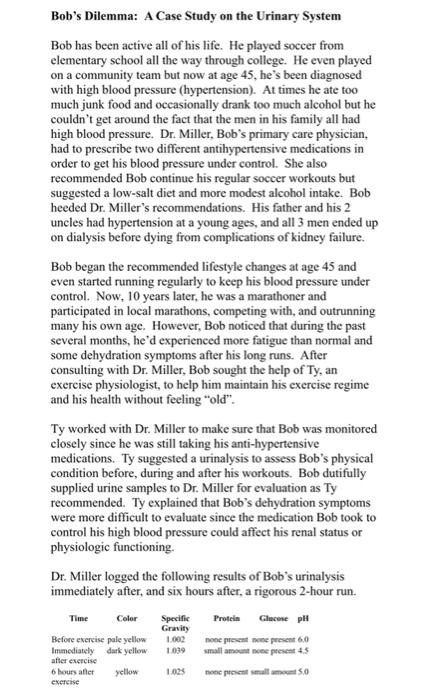 Bob S Dilemma A Case Study On The Urinary System Bob Has Been Active All Of His Life He Played Soccer From Elementary 2