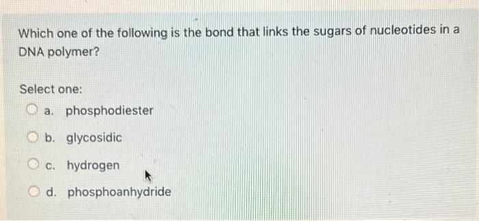 Which One Of The Following Is The Bond That Links The Sugars Of Nucleotides In A Dna Polymer Select One A Phosphodies 1