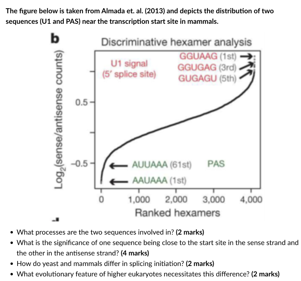 The Figure Below Is Taken From Almada Et Al 2013 And Depicts The Distribution Of Two Sequences U1 And Pas Near The 1