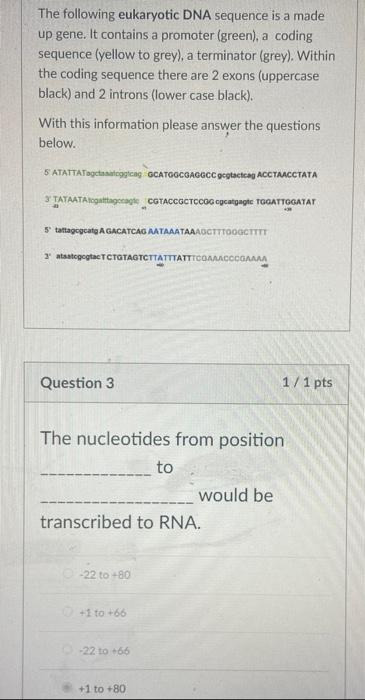 The Following Eukaryotic Dna Sequence Is A Made Up Gene It Contains A Promoter Green A Coding Sequence Yellow To Gr 1