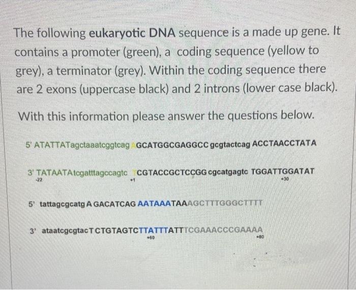 The Following Eukaryotic Dna Sequence Is A Made Up Gene It Contains A Promoter Green A Coding Sequence Yellow To Gr 6