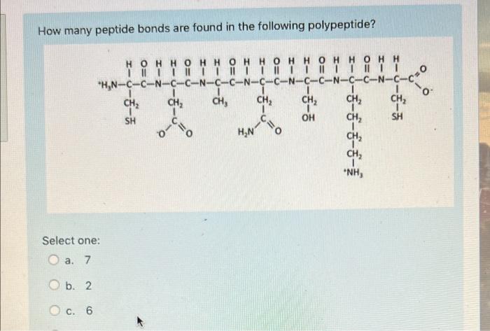 How Many Peptide Bonds Are Found In The Following Polypeptide Hohhohhohhohhohhohh Iiihiihiihiihii Hn C C N C C N C C N 1