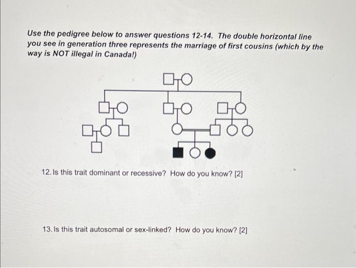 Use The Pedigree Below To Answer Questions 12 14 The Double Horizontal Line You See In Generation Three Represents The 1