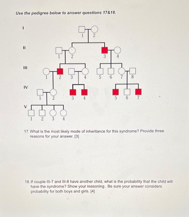 Use The Pedigree Below To Answer Questions 12 14 The Double Horizontal Line You See In Generation Three Represents The 2