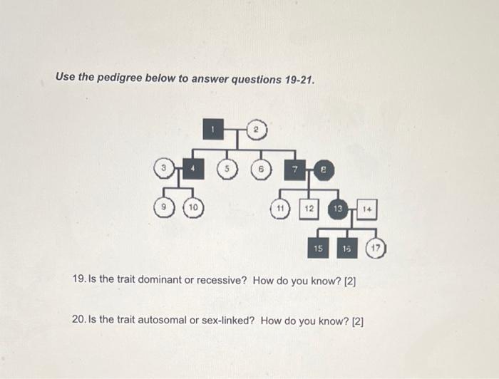 Use The Pedigree Below To Answer Questions 12 14 The Double Horizontal Line You See In Generation Three Represents The 3