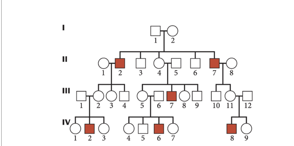 Ii Iv 2 2 3 4 1 1 2 3 1 3 4 5 6 6 4 5 O 2 5 6 789 7 7 8 10 11 12 8 9 1