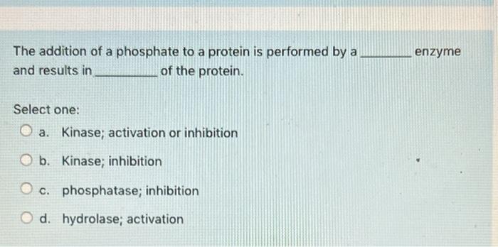 The Addition Of A Phosphate To A Protein Is Performed By A And Results In Of The Protein Select One A Kinase Activat 1