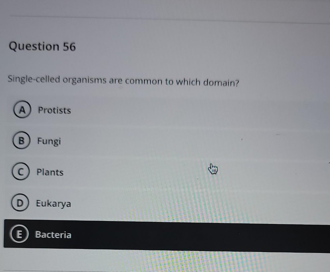 Question 56 Single Celled Organisms Are Common To Which Domain A Protists B Fungi C Plants D Eukarya E Bacteria 1