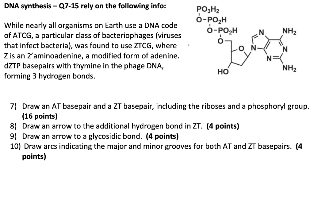 Dna Synthesis Q7 15 Rely On The Following Info O Po H Nh N While Nearly All Organisms On Earth Use A Dna Code Of Atc 1