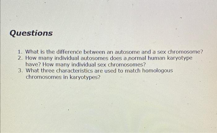 Questions 1 What Is The Difference Between An Autosome And A Sex Chromosome 2 How Many Individual Autosomes Does A No 1