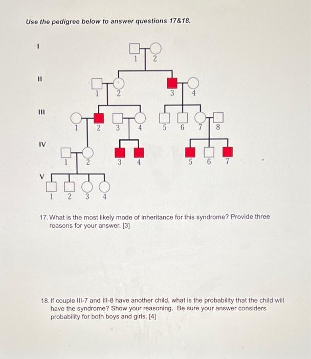 Use The Pedigree Below To Answer Questions 17 18 1 3 5 6 7 8 Iv 2 3 3 4 5 6 7 Oo 2 3 4 17 What Is The Most Likely Mod 1