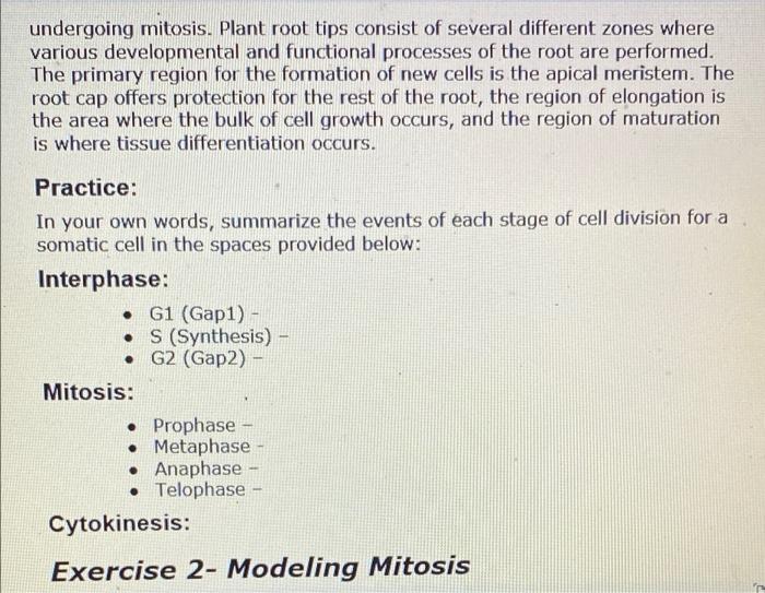 Undergoing Mitosis Plant Root Tips Consist Of Several Different Zones Where Various Developmental And Functional Proces 1