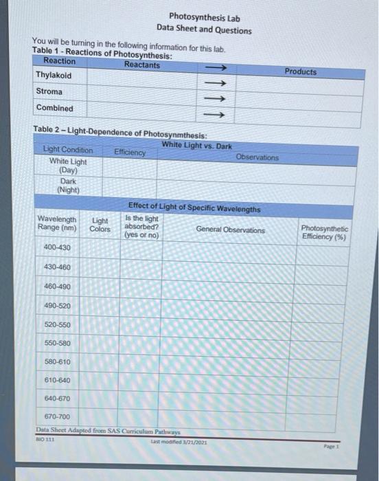 Photosynthesis Lab Data Sheet And Questions You Will Be Turning In The Following Information For This Lab Table 1 React 1