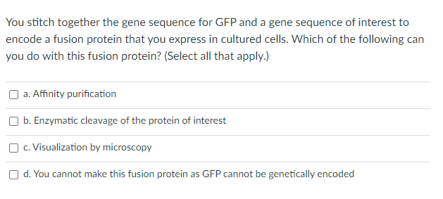You Want To Probe A Cell Sample With A Fluorophore Conjugated Antibody That Specifically Recognizes Certain Proteins On 2