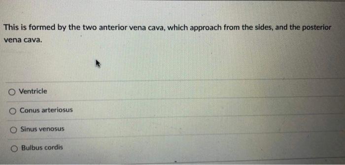 This Is Formed By The Two Anterior Vena Cava Which Approach From The Sides And The Posterior Vena Cava Ventricle O Co 1