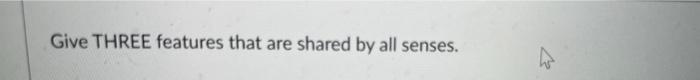 Give Three Features That Are Shared By All Senses 1