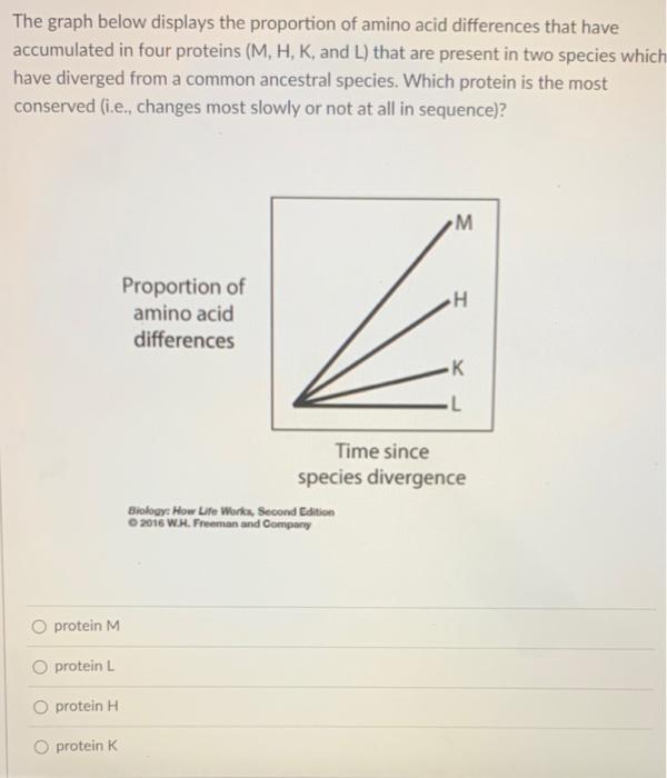 The Graph Below Displays The Proportion Of Amino Acid Differences That Have Accumulated In Four Proteins M H K And L 1