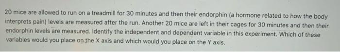 20 Mice Are Allowed To Run On A Treadmill For 30 Minutes And Then Their Endorphin A Hormone Related To How The Body Int 1