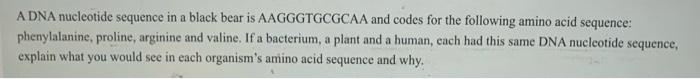 Adna Nucleotide Sequence In A Black Bear Is Aagggtgcgcaa And Codes For The Following Amino Acid Sequence Phenylalanine 1