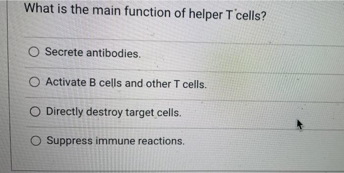 What Is The Main Function Of Helper T Cells Secrete Antibodies Activate B Cells And Other T Cells O Directly Destroy 1