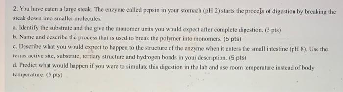 2 You Have Eaten A Large Steak The Enzyme Called Pepsin In Your Stomach Ph 2 Starts The Procels Of Digestion By Brea 1