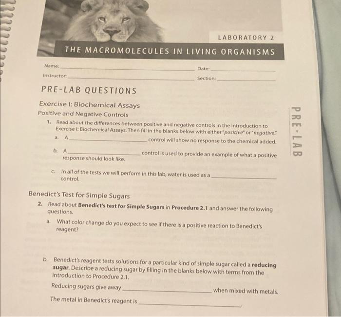 Laboratory 2 The Macromolecules In Living Organisms Name Date Instructor Section Pre Lab Questions Exercise I Bioch 1