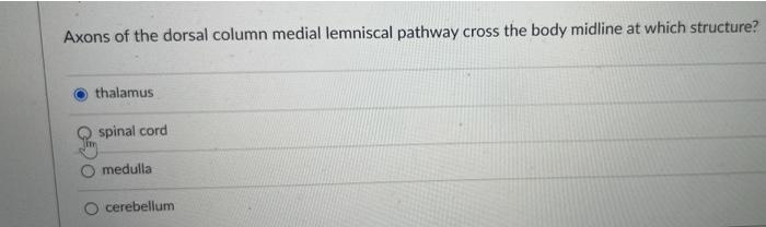 Axons Of The Dorsal Column Medial Lemniscal Pathway Cross The Body Midline At Which Structure Thalamus Spinal Cord Medu 1
