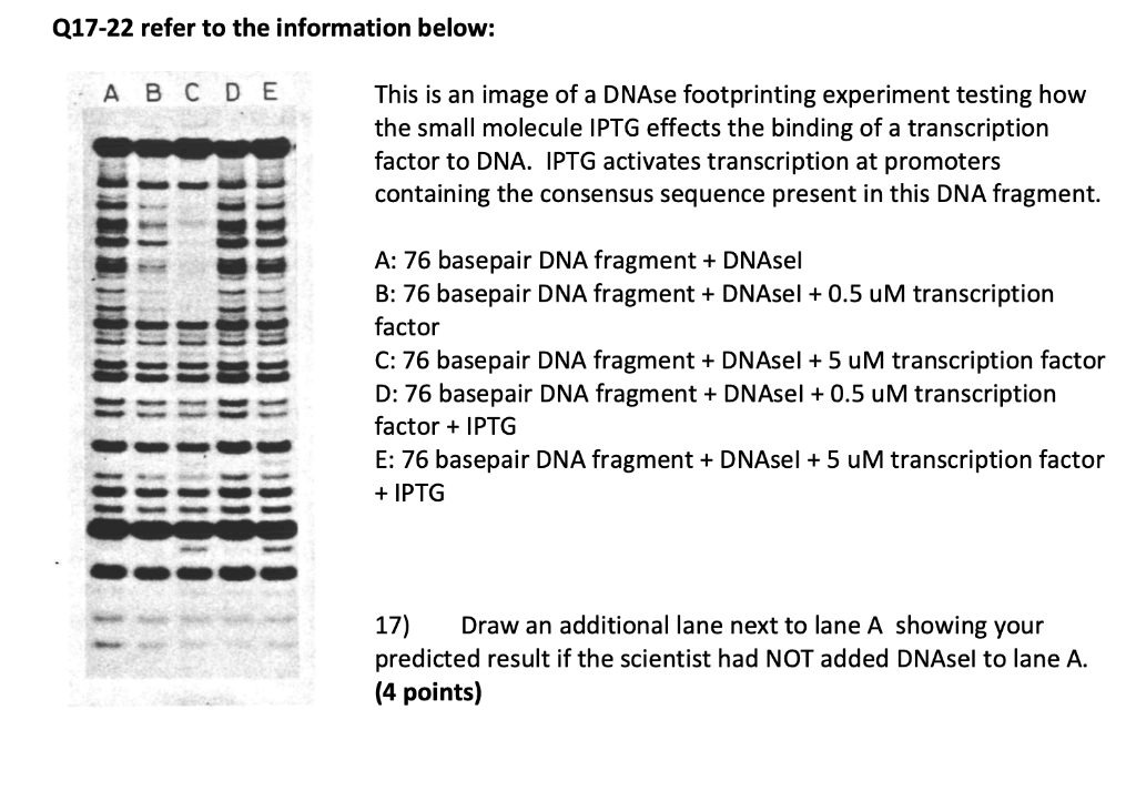 Biochemistry Question 1