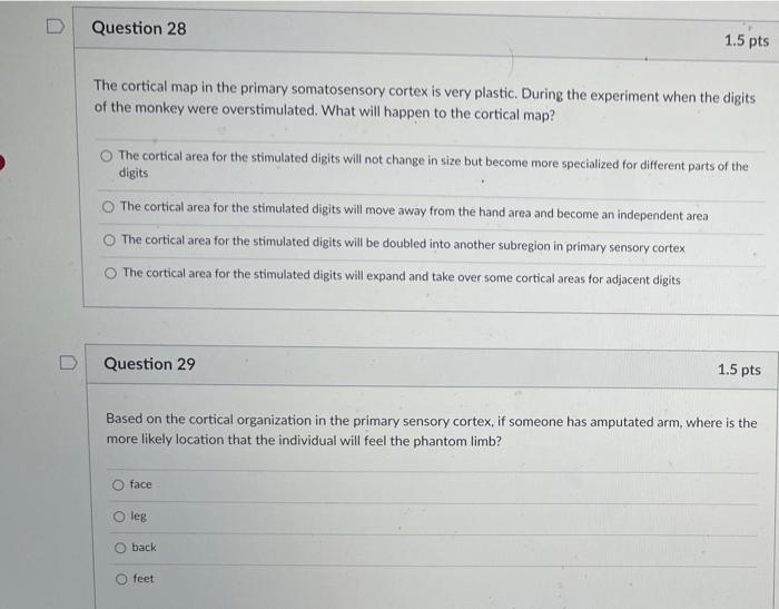 D Question 28 1 5 Pts The Cortical Map In The Primary Somatosensory Cortex Is Very Plastic During The Experiment When T 1