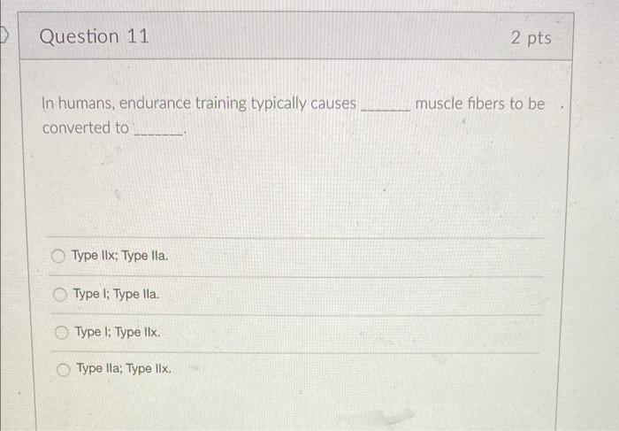 Question 11 In Humans Endurance Training Typically Causes Converted To Type Iix Type Lla Type I Type Lla Type I T 1