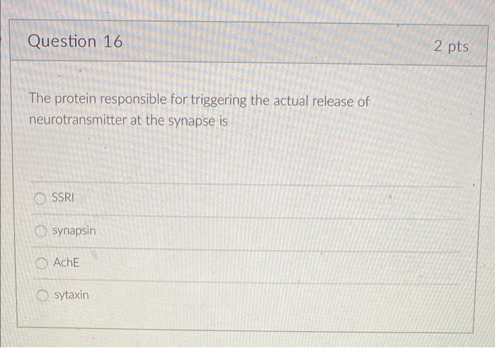 Question 16 The Protein Responsible For Triggering The Actual Release Of Neurotransmitter At The Synapse Is Ssri Synapsi 1