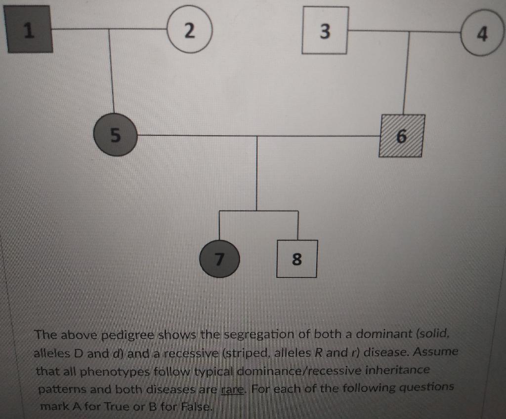 If Individuals 5 And 6 Have Two More Children The Probability That Both Are Girls None Of These 1 3 2 3 1 4 1 2 1