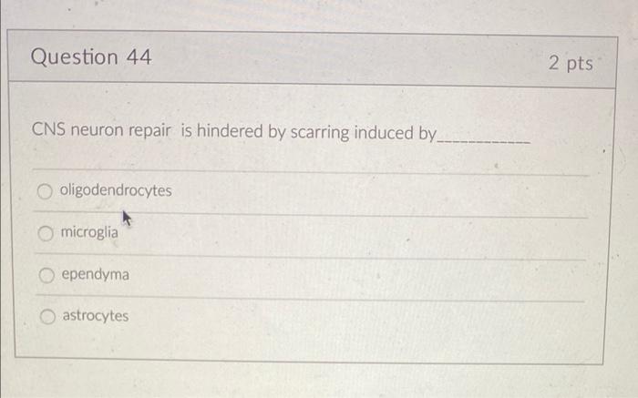 Question 44 Cns Neuron Repair Is Hindered By Scarring Induced By O Oligodendrocytes Microglia Ependyma O Astrocytes 2 1