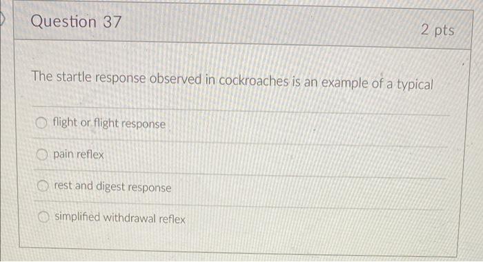 Question 37 2 Pts The Startle Response Observed In Cockroaches Is An Example Of A Typical O Flight Or Flight Response Pa 1