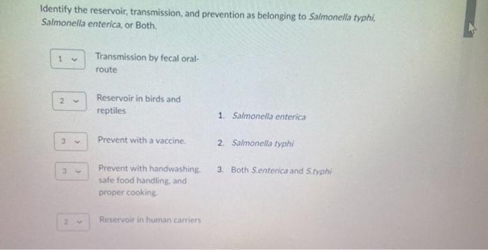 Identify The Reservoir Transmission And Prevention As Belonging To Salmonella Typhi Salmonella Enterica Or Both Tra 1