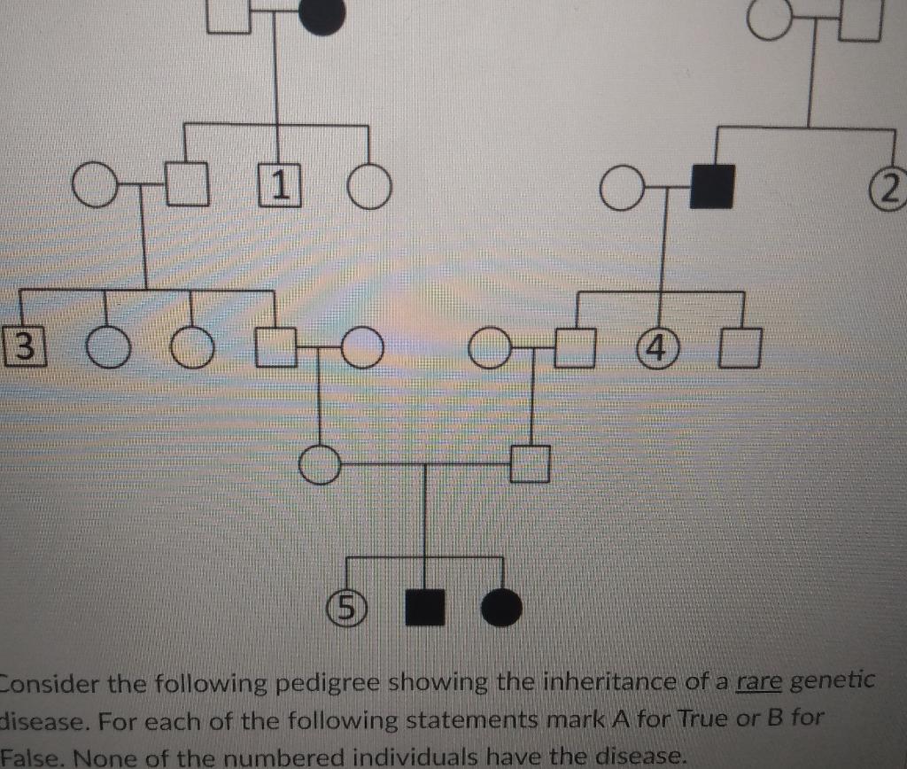 Questions 1 The Trait Could Be Autosomal Recessive True Or False 2 The Trait Could Be Autosomal Dominant True O 1