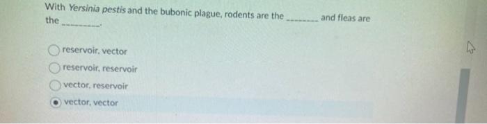 With Yersinia Pestis And The Bubonic Plague Rodents Are The The Reservoir Vector Reservoir Reservoir Vector Reservoi 1