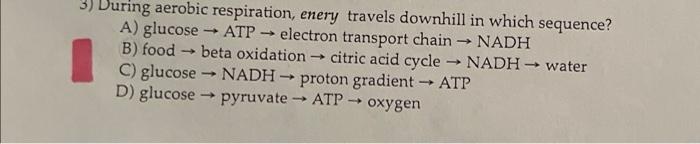 3 During Aerobic Respiration Enery Travels Downhill In Which Sequence A Glucose Atp Electron Transport Chain Na 1