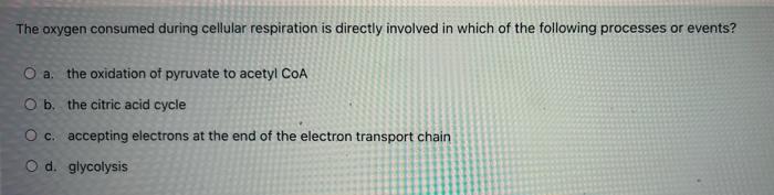 Which Of The Following Refers To The Amino Acid Sequence Of Proteins Select One O A Primary O B Tertiary O C Quater 3