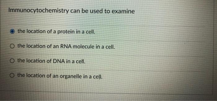 Which Cell Organelle Would Not Have Or Use A High Concentration Of Hydrogen Ions O Lysosome Mitochondria O Nucleus O Ch 2