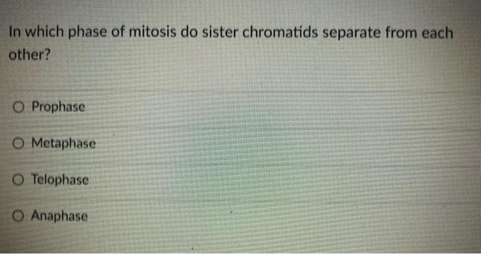 Which Cell Organelle Would Not Have Or Use A High Concentration Of Hydrogen Ions O Lysosome Mitochondria O Nucleus O Ch 5