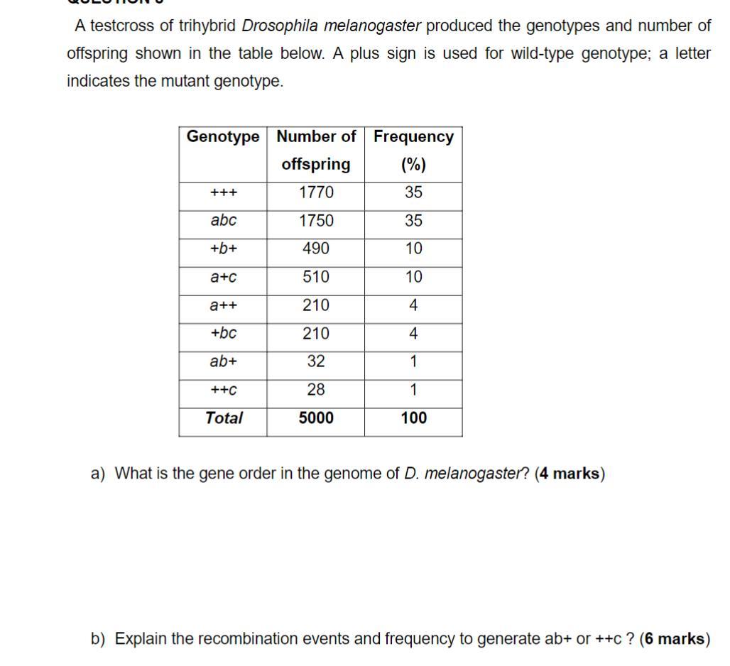 A Testcross Of Trihybrid Drosophila Melanogaster Produced The Genotypes And Number Of Offspring Shown In The Table Below 1