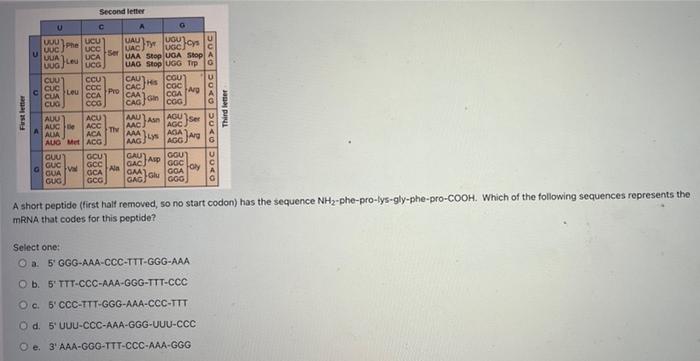 10 H C H C H C E Iii Oh Ch 0 A 0 0 Ch A O H C Iv Oh Vi Ho Which Arrow Is Pointing To The 5 Phosphate Group Selec 3