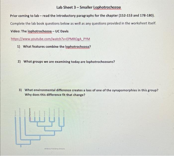 Lab Sheet 3 Smaller Lophotrochozoa Prior Coming To Lab Read The Introductory Paragraphs For The Chapter 152 153 And 1 1