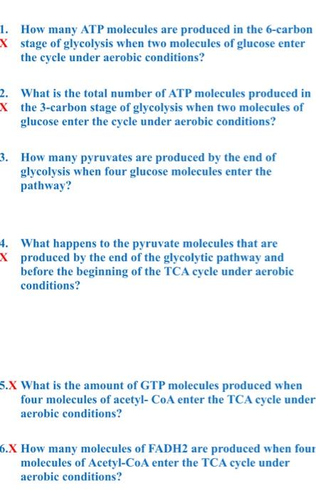 1 X How Many Atp Molecules Are Produced In The 6 Carbon Stage Of Glycolysis When Two Molecules Of Glucose Enter The Cyc 1