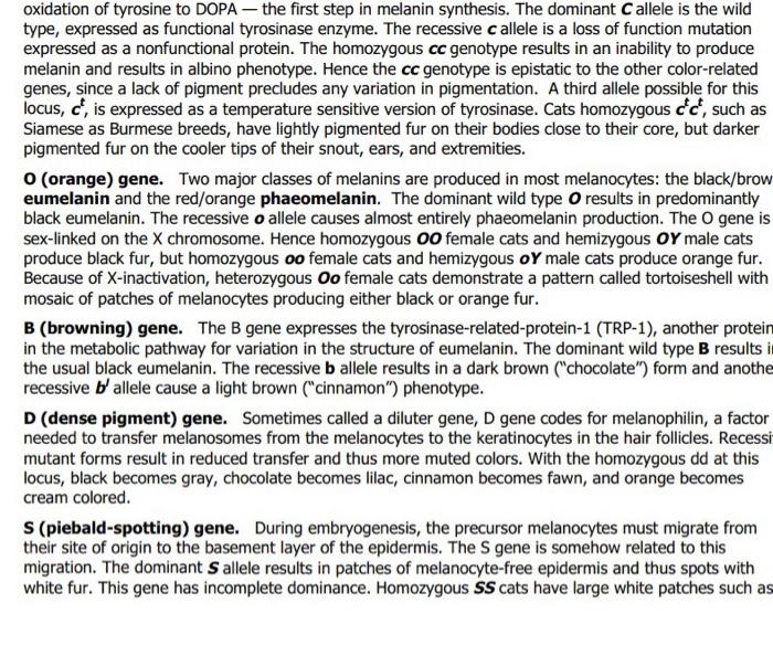 Aga Ona Je Pasangan A Ma Wwww Oxidation Of Tyrosine To Dopa The First Step In Melanin Synthesis The Dominant C Alle 3