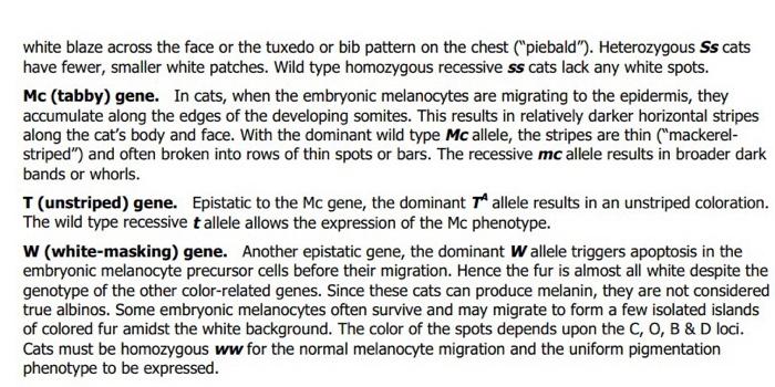Aga Ona Je Pasangan A Ma Wwww Oxidation Of Tyrosine To Dopa The First Step In Melanin Synthesis The Dominant C Alle 4