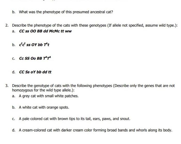 Aga Ona Je Pasangan A Ma Wwww Oxidation Of Tyrosine To Dopa The First Step In Melanin Synthesis The Dominant C Alle 5