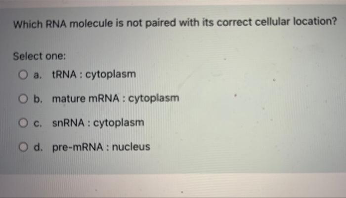 Match The Description With The Best Term Found Outside Nucleus Has Poly A Tai Choose Mature Mrna Contains Introns 4