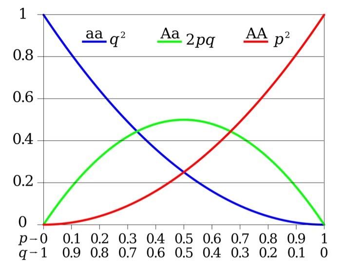 1 2pg 0 8 0 6 0 4 0 2 0 0 3 0 4 0 5 0 6 0 7 0 8 0 9 1 P 0 0 1 0 2 Q 1 0 9 0 8 0 7 0 6 0 5 0 4 0 3 0 2 0 1 0 Aa 2 Q Aa 1